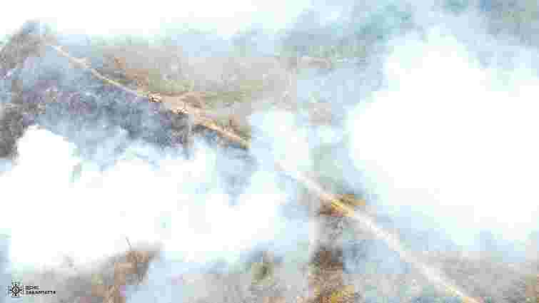 На Закарпатті виникла масштабна лісова пожежа