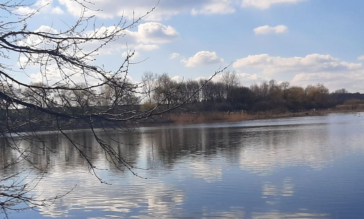 На Тернопільщині ДП «Укрспирт» незаконно користувалося землею вартістю майже мільярд грн
