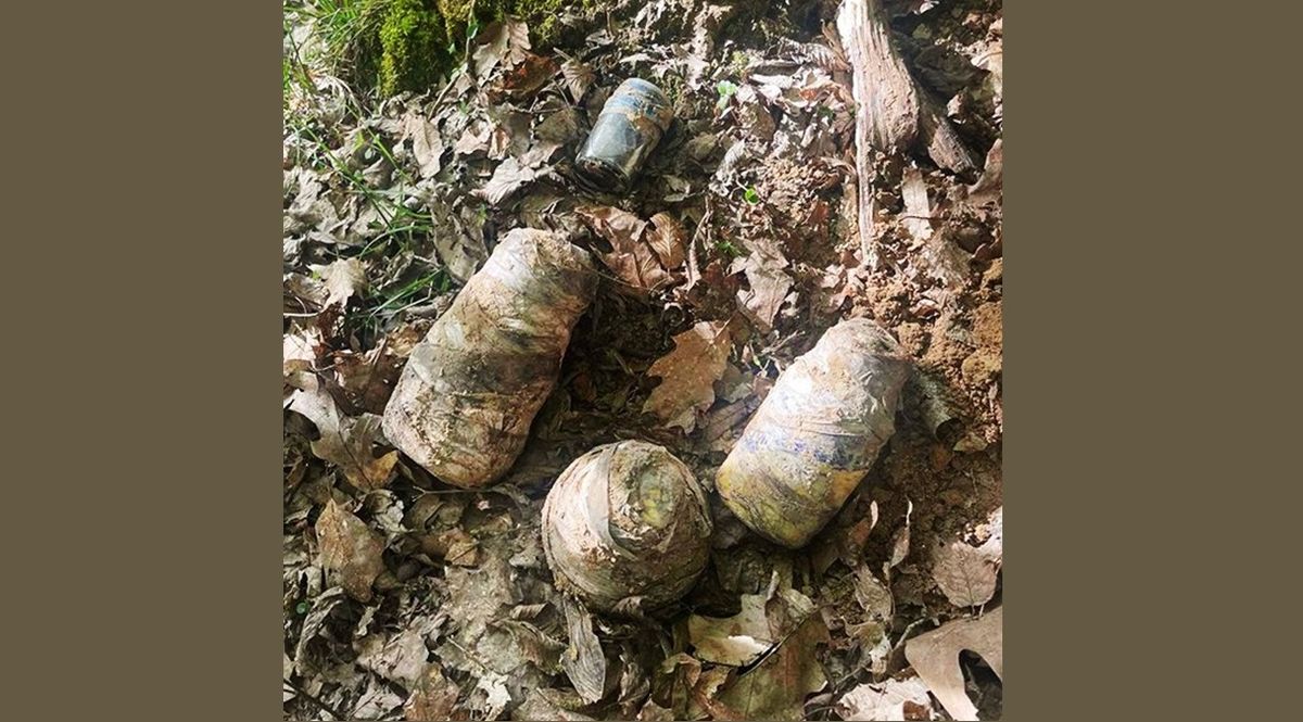 Під час прогулянки у лісосмузі львів’янин знайшов 20 кг ртуті