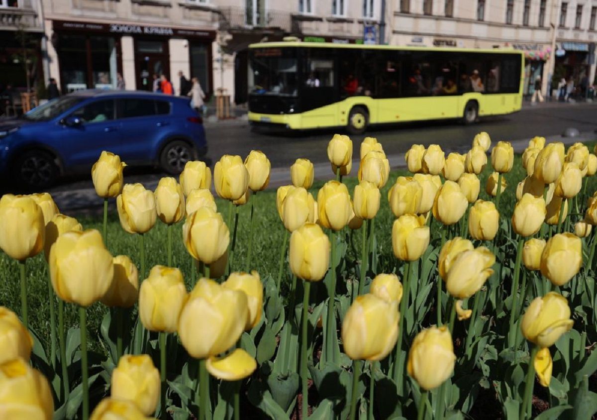 У Львові зафіксували температурний рекорд за всю історію спостережень 