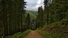 «Є ідея мінімізувати наступ природно-заповідного фонду»