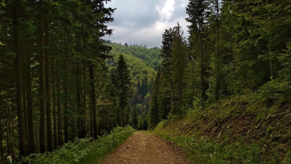 «Є ідея мінімізувати наступ природно-заповідного фонду»