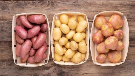 10 найврожайніших та найсмачніших сортів картоплі: вибір досвідчених городників