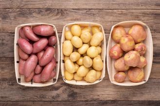 10 найврожайніших та найсмачніших сортів картоплі: вибір досвідчених городників