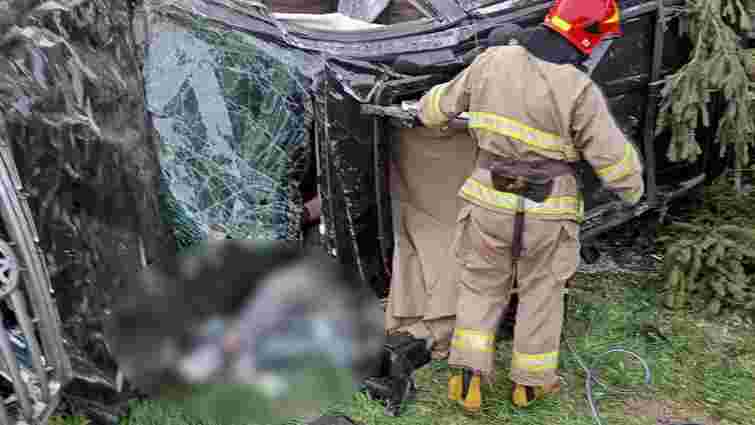 На Прикарпатті після зіткнення з деревом загинув 65-річний пасажир Toyota