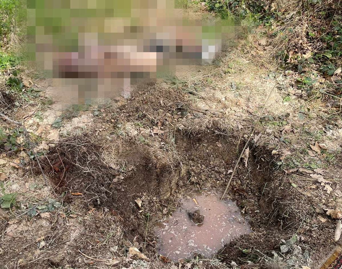 На Прикарпатті двоє рецидивістів вбили 36-річного чоловіка і закопали в лісі