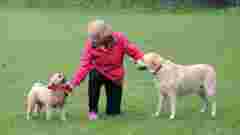 Подарунок мамі: топ-5 порід собак для літніх людей