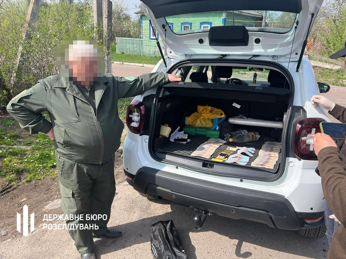 За нелегальний збут деревини ДБР затримало керівника природного заповідника на Житомирщині 