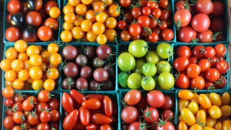 Чорні, білі, зелені: топ-5 незвичних сортів помідорів, які вас приємно вразять