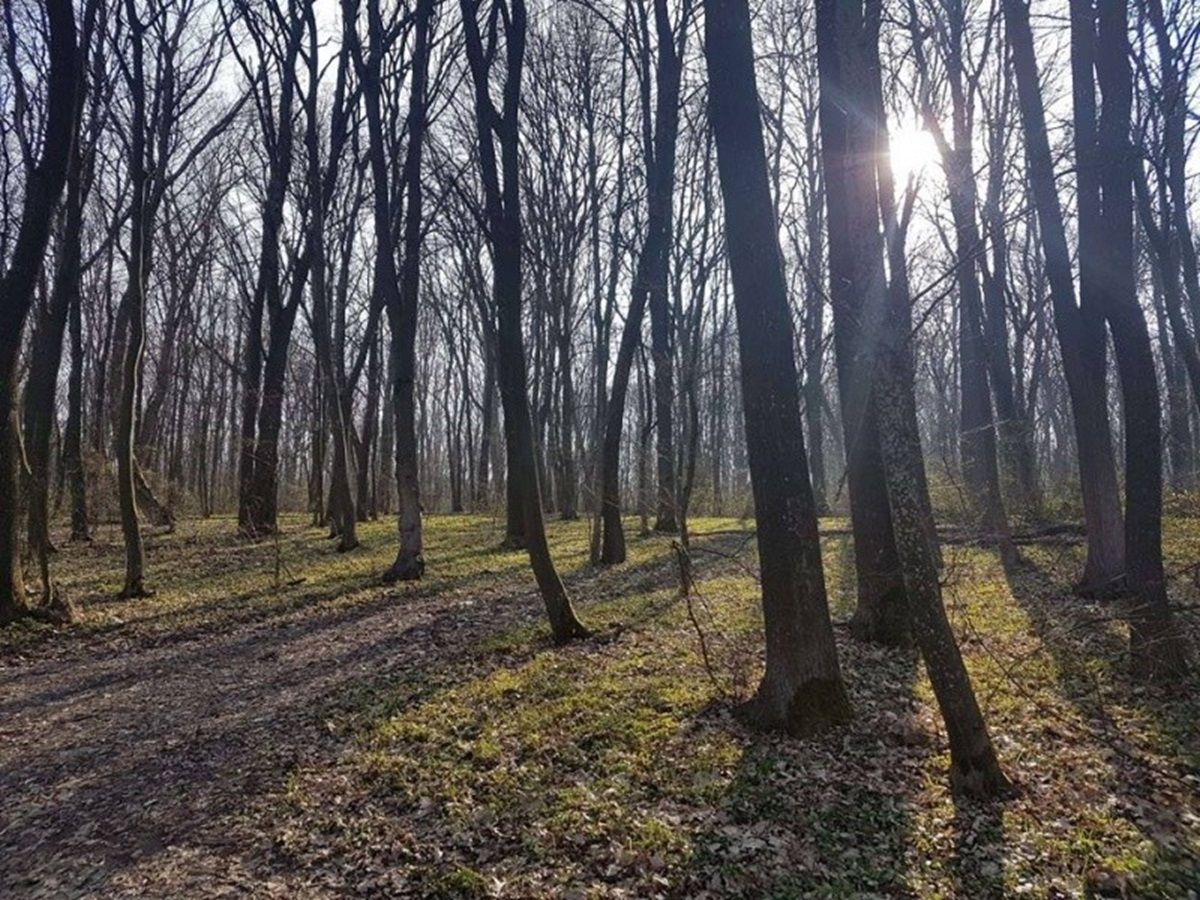 В недобудованій школі біля Тернополя знайшли двох непритомних підлітків