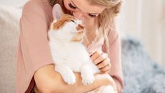 Як сказати «я тебе люблю» котячою мовою: 7 способів