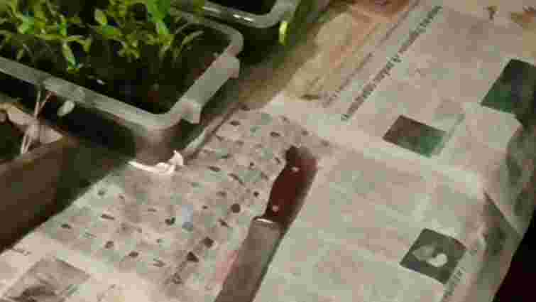 На Житомирщині 23-річний вчитель із ножем напав на підлітків, є загиблий