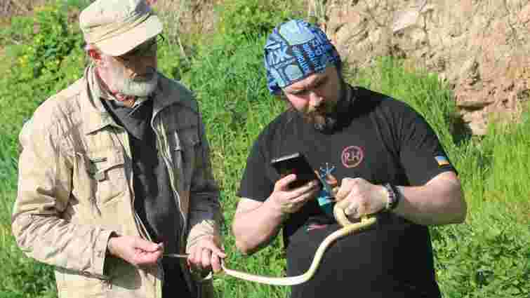Науковці виявили популяцію червонокнижних змій у нацпарку «Дністровський каньйон»