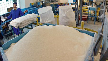 Найбільше цукру в Україні виробляють на Львівщині
