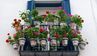 Як оригінально прикрасити балкон рослинами: 8 схем квіткових композицій