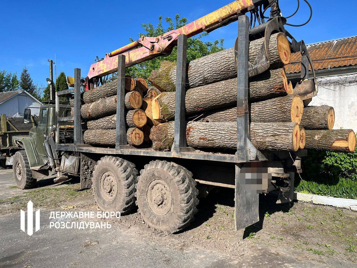 На Хмельниччині лісники під прикриттям поліцейського вирубали дубів на 1,3 млн грн