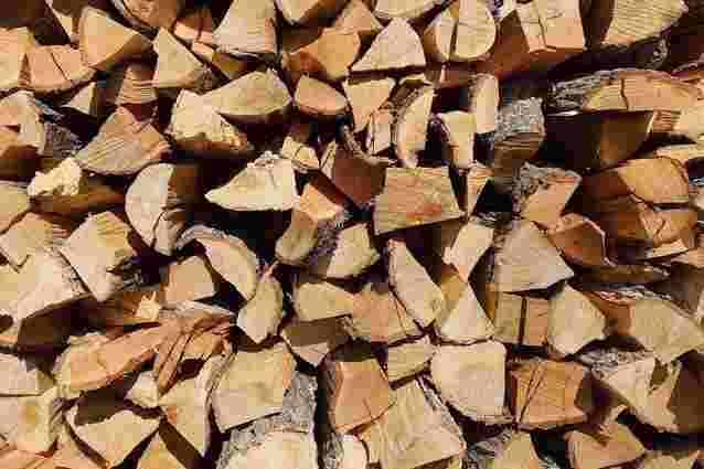 На Тернопільщині аферист продав неіснуючі дрова вісьмом покупцям