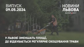 У Львові зменшать площі, де відбувається регулярне скошування трави