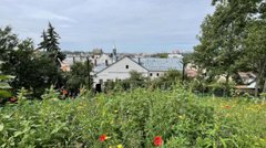 Скільки коштує зелене місто