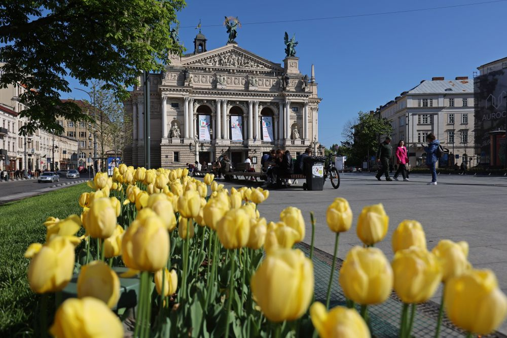 Нідерландські тюльпани на проспекті Свободи у Львові (фото ЛМР)