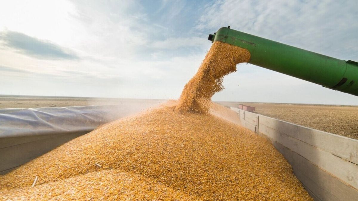 Євросоюз продовжив безмитну торгівлю з Україною ще на рік