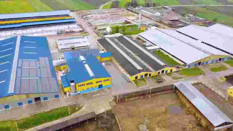 Компанія ОККО купує частку в аграрному бізнесі в Тернопільській області