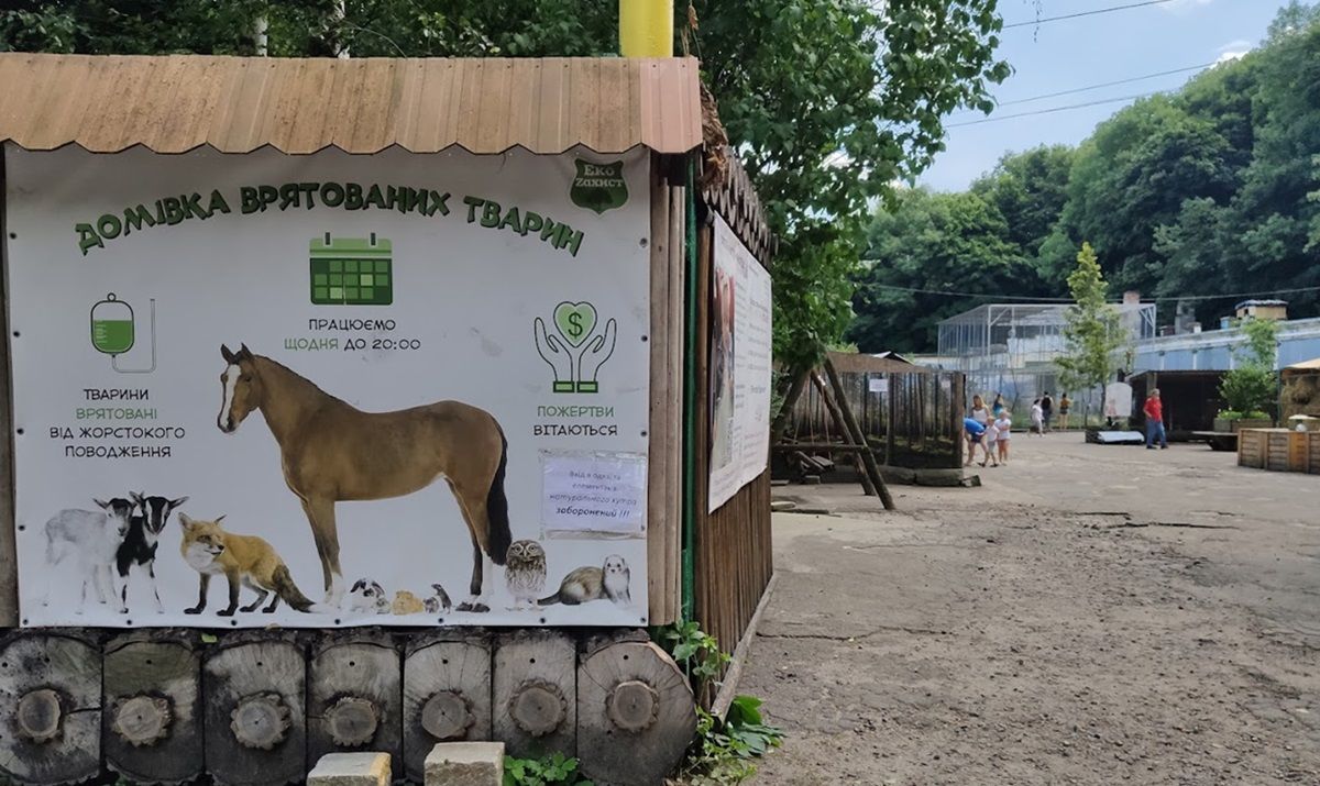 Керівник «Домівки врятованих тварин» заявив про закриття притулку у Львові