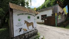 «Домівка врятованих тварин» оголосила збір 550 тис. грн на закриття боргів