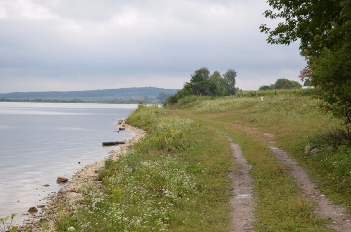 На Тернопільщині підприємство викупило дозвіл на артезіанську свердловину за понад 300 тис. грн