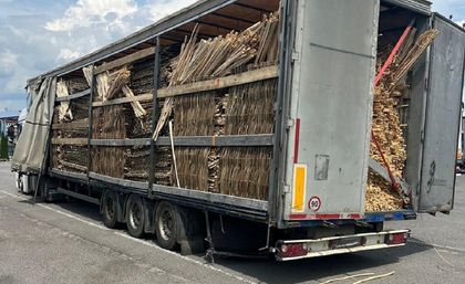 На Львівщині викрили схему контрабанди деревини за кордон