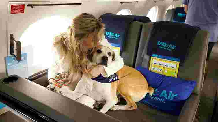 У США запрацювала перша авіакомпанія для собак