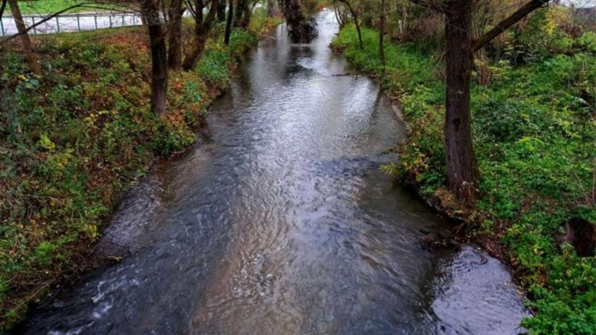 На підтримання санітарного стану річки Зубра витратять 7,3 млн грн