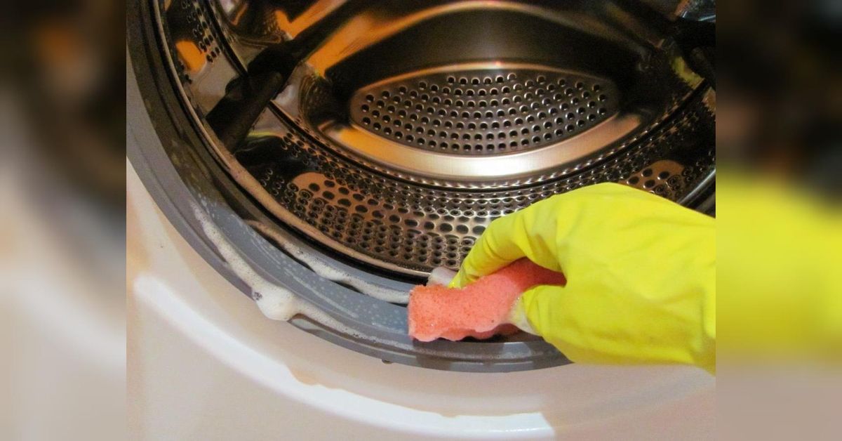 Як позбутись плісняви у пральній машині: 3 бюджетні способи  
