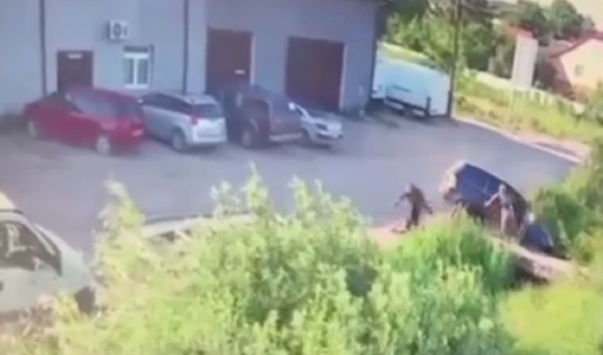 Працівники ТЦК на Львівщині потрапили в ДТП під час погоні за ухилянтом