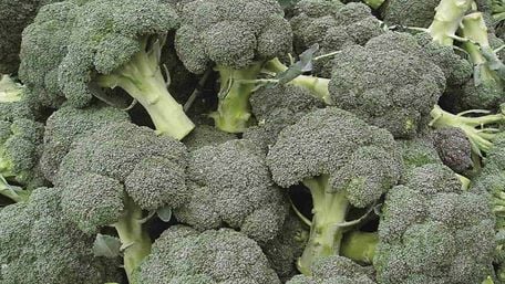 Капуста броколі: чим корисна і що з неї приготувати