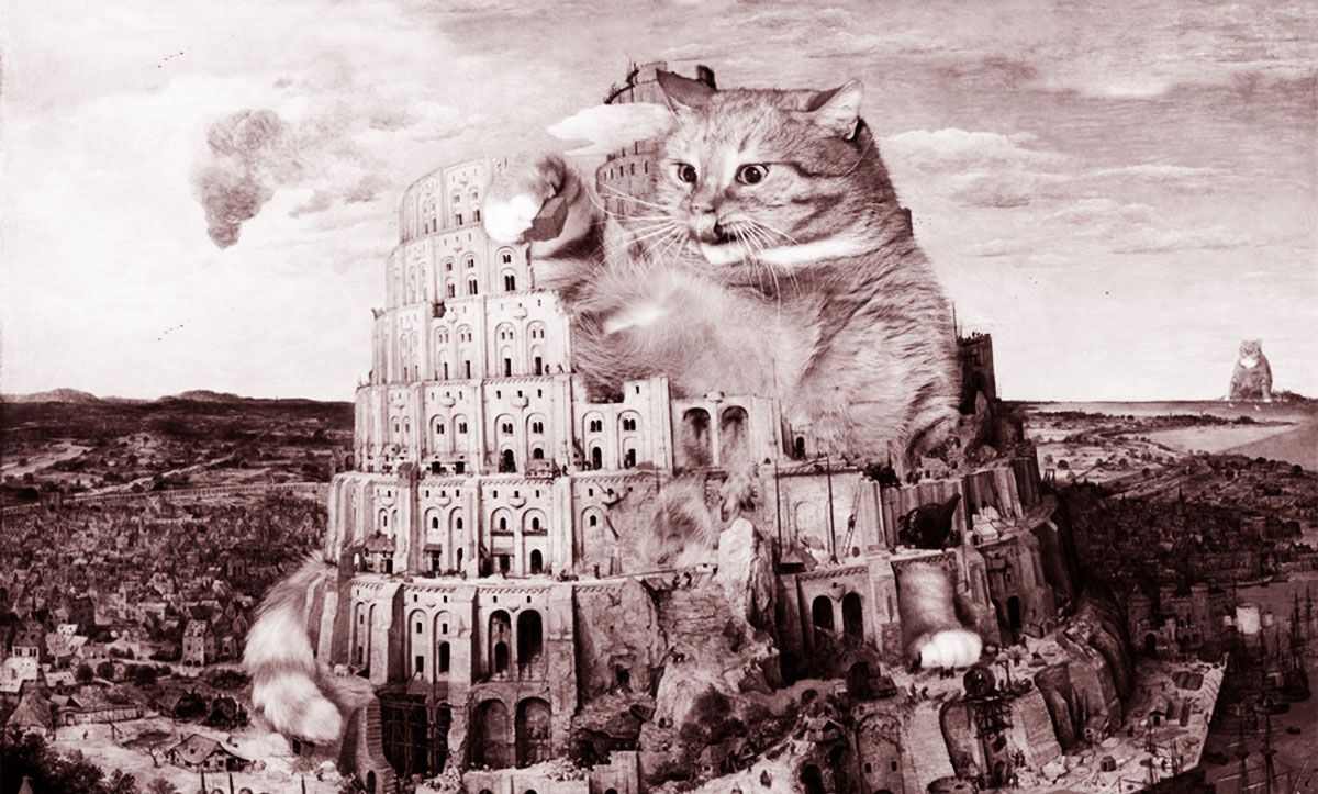 Нісенітниці, якими себе оточують люди