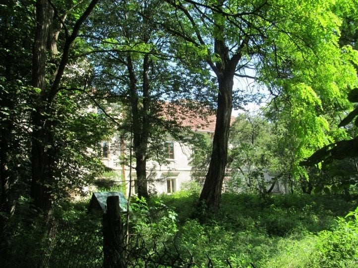 Залишки парку біля палацу