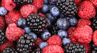 Чотири ягоди для поліпшення травлення і швидшої втрати зайвих кілограмів