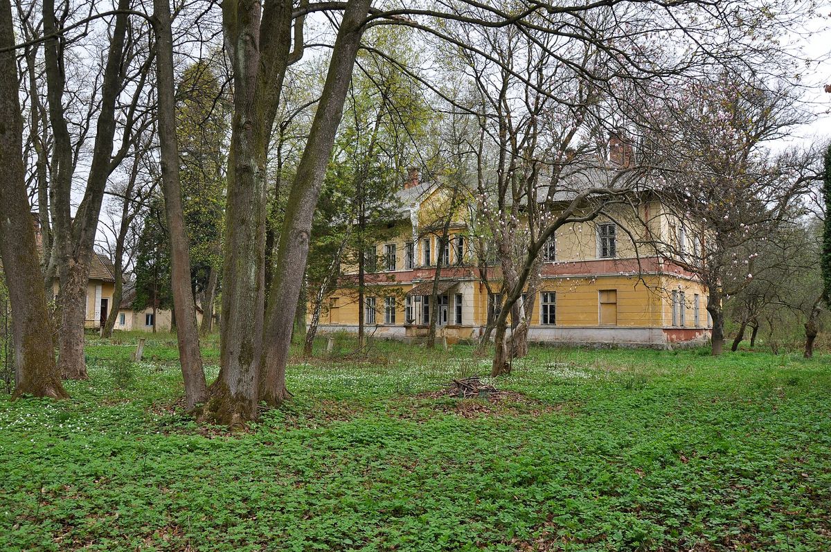 Суд повернув у комунальну власність 4,7 га із наркодиспансером біля Стрия