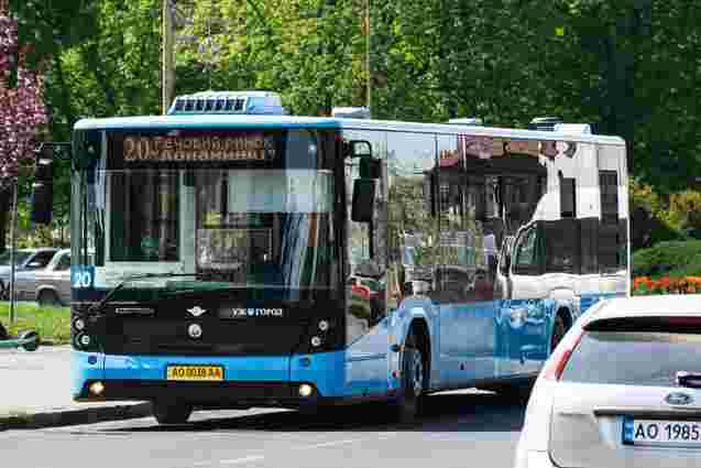 Вартість проїзду у міських автобусах Ужгорода збільшили до 15 грн