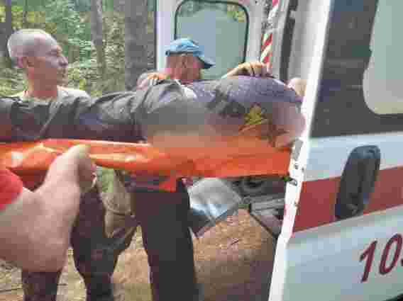 На Волині внаслідок падіння дерева тяжко травмувався 58-річний чоловік