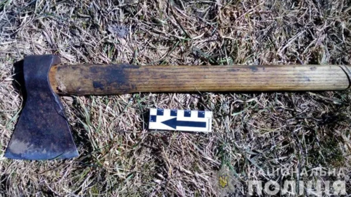 Суд покарав мешканку Тернопільщини за погрози сокирою слідчій
