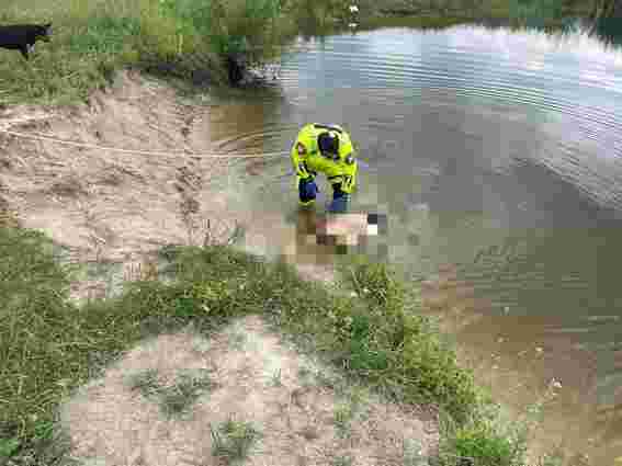 У ставку в Ковельському районі потонув 47-річний відпочивальник 