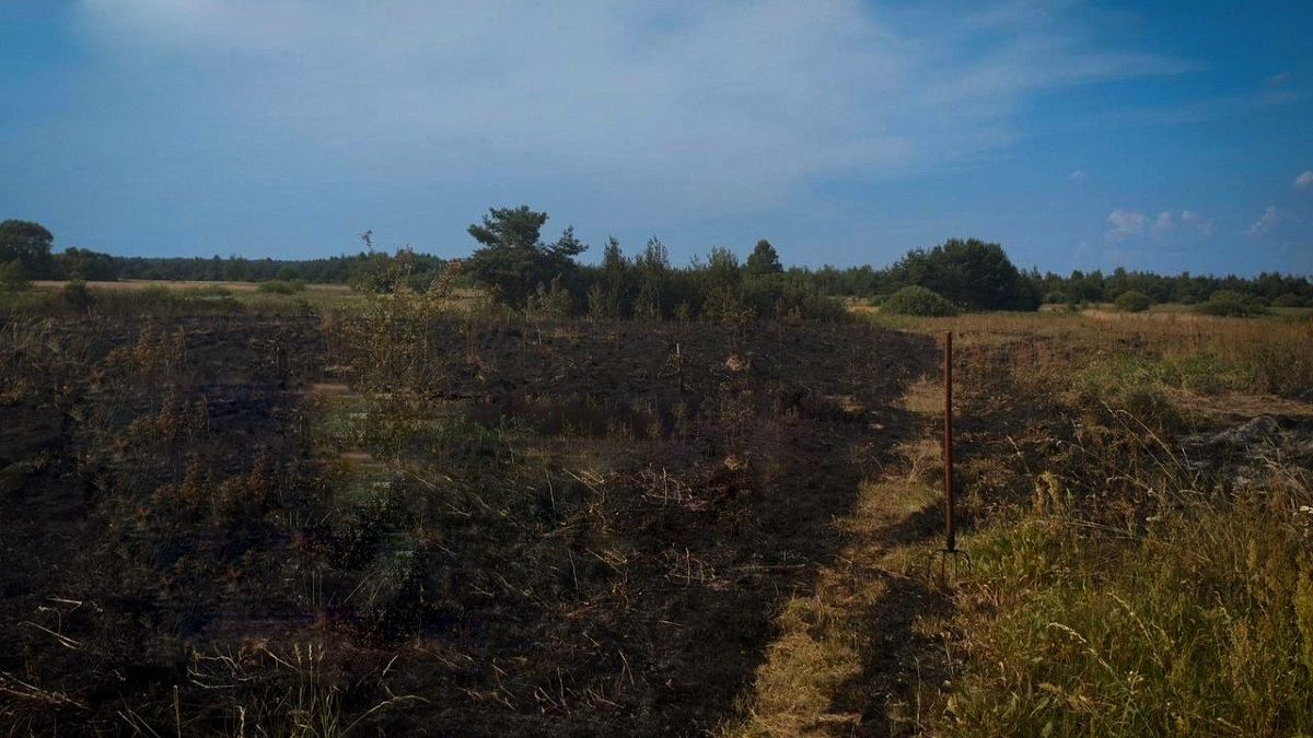 На Львівщині пенсіонер отримав опіки під час спалювання сміття на полі