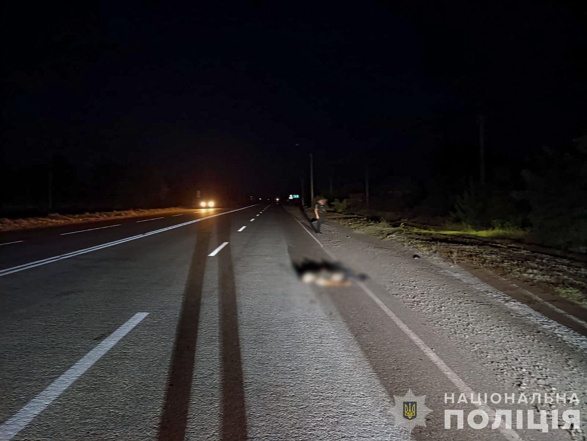 На Запоріжжі водій Toyota насмерть збив військового та втік з місця події