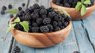 Вісім корисних для здоров’я властивостей ожини