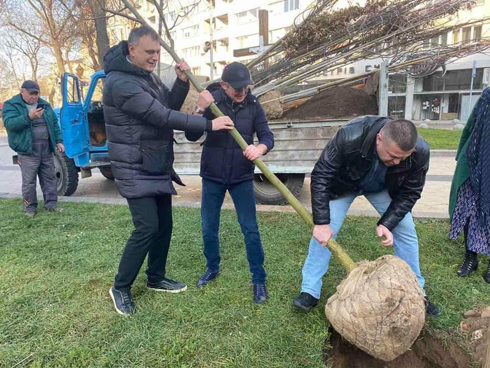 Депутати від ВО «Свобода» Любомир Мельничук і Андріян Гутник висаджують дерево на просп. Свободи восени 2021 року