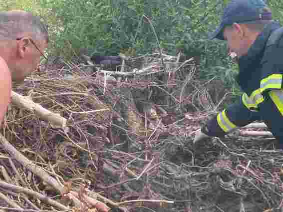 Рятувальники витягнули з води мертвого закарпатця і скелет невідомої людини