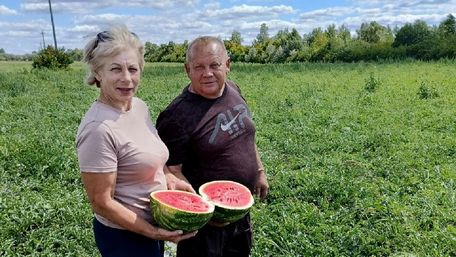 Переселенець з Херсонщини виростив перші кавуни на Львівщині