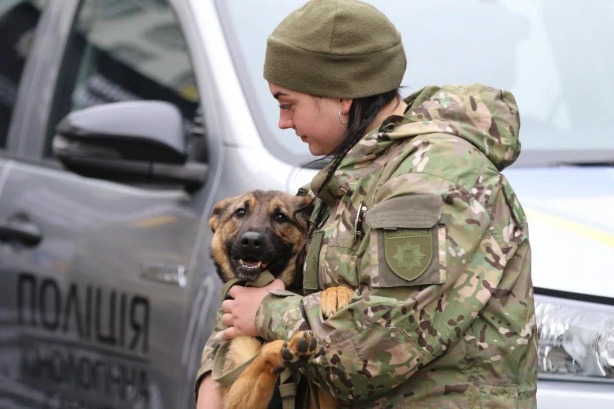 ЄС виділив 2 млн євро на розмінування України за допомогою кінологічних груп